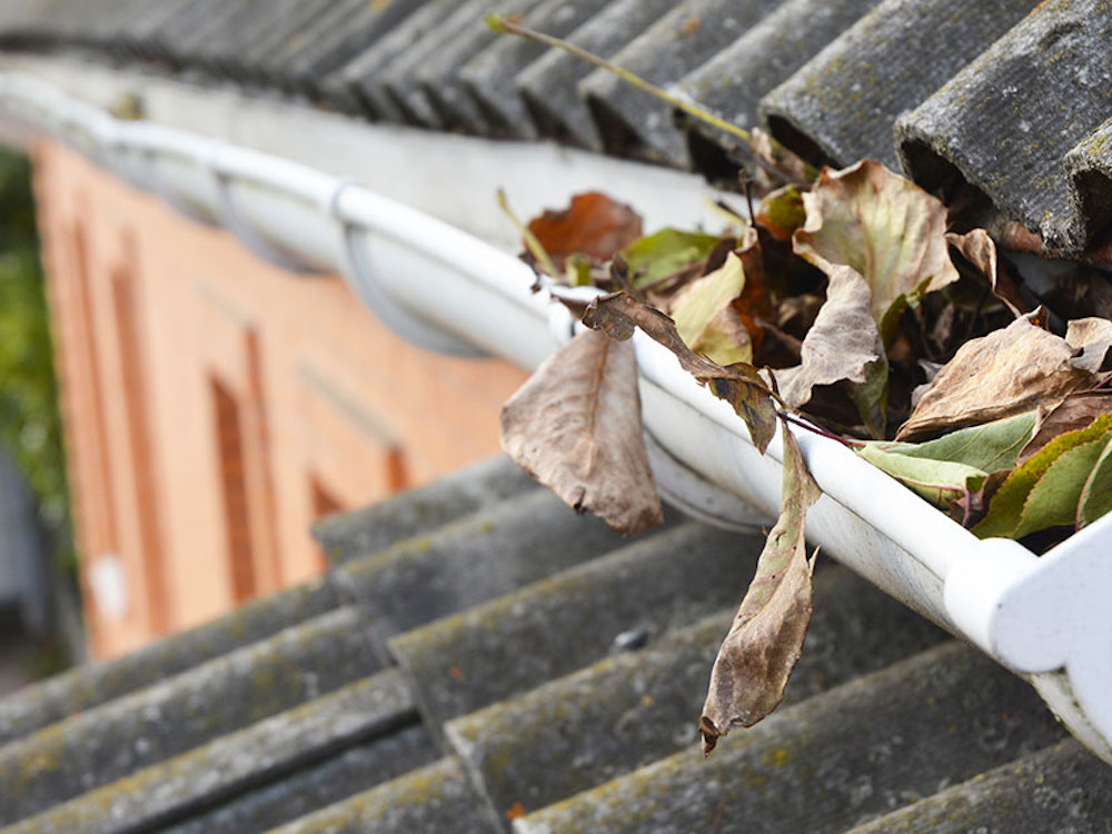 Gutter Cleaning